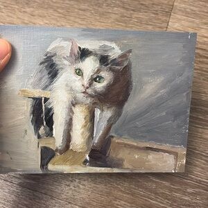 Oil painting cat
